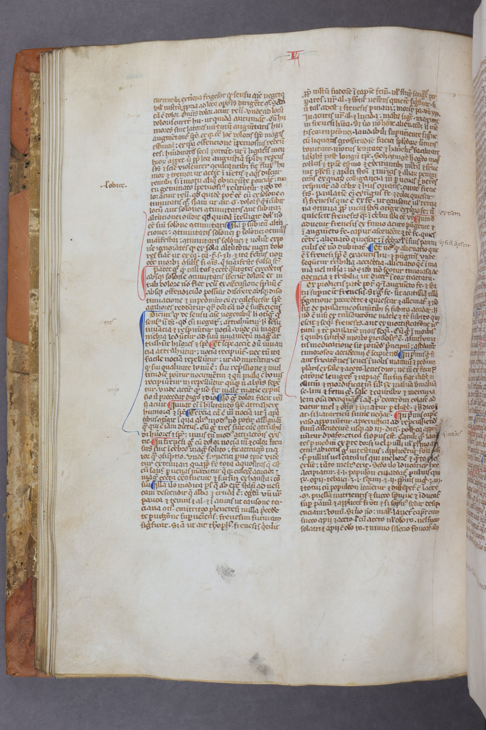 Folio 45 verso